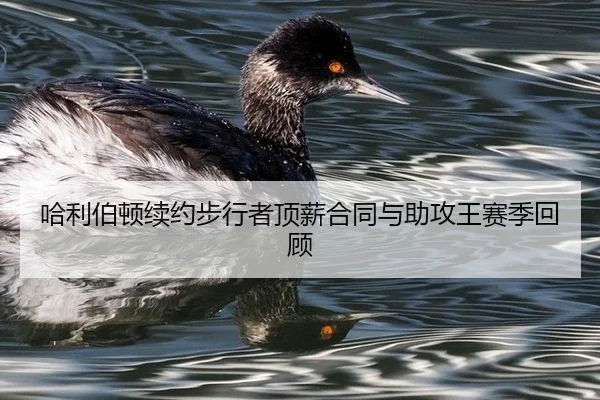 ha-li-bo-dun-xu-yue-bu-xing-zhe-ding-xin-he-tong-yu-zhu-gong-wang-sai-ji-hui-gu-2-248.jpg