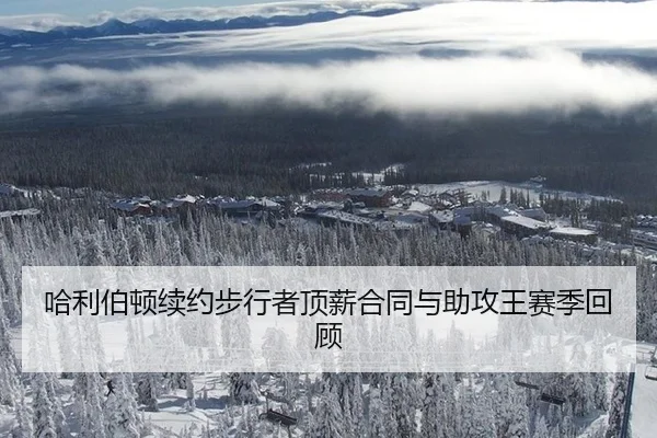 哈利伯顿续约步行者顶薪合同与助攻王赛季回顾