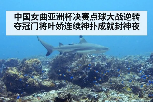 中国女曲亚洲杯决赛点球大战逆转夺冠门将叶娇连续神扑成就封神夜