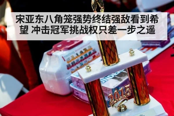 宋亚东八角笼强势终结强敌看到希望 冲击冠军挑战权只差一步之遥